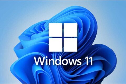 ویندوز11