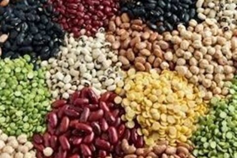 تامین حبوبات هیئت‌ها و خانوارها در محرم بدون مشکل
