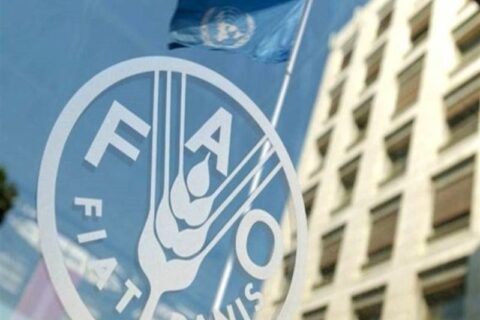 فائو: اثر جنگ خاورمیانه بر قیمت مواد غذایی هنوز نمایان نشده است