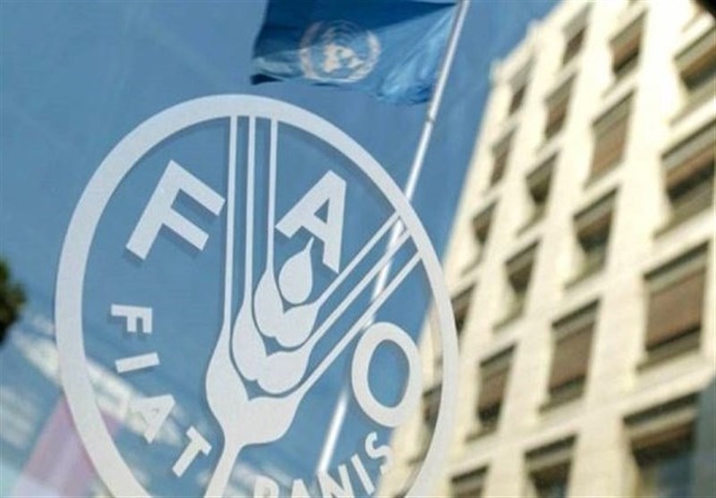 فائو: اثر جنگ خاورمیانه بر قیمت مواد غذایی هنوز نمایان نشده است